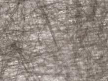 Spunbond Fabric Options