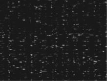 Needle Punch Fabric Options
